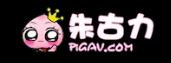 PIGAV (접속불가능)