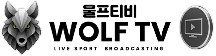 울프티비 (접속불가능)