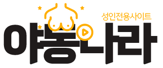 야동나라 (접속불가)