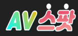 AV스팟 (접속불가)
